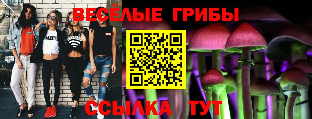 Галлюциногенные грибы мухоморы Ногинск